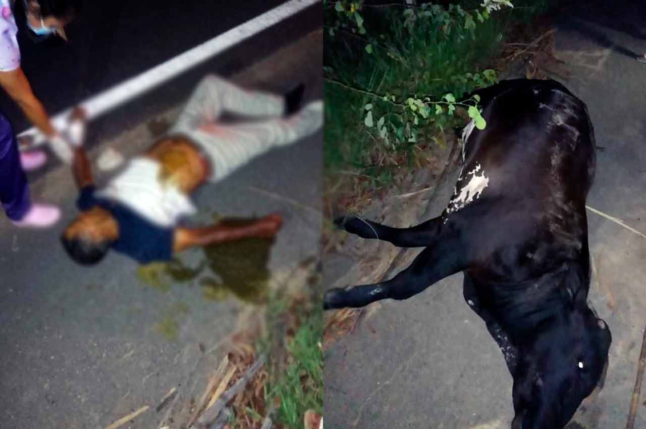 Morador de Ibateguara morre após colidir moto em animal na zona rural da cidade | © Reprodução/Cortesia