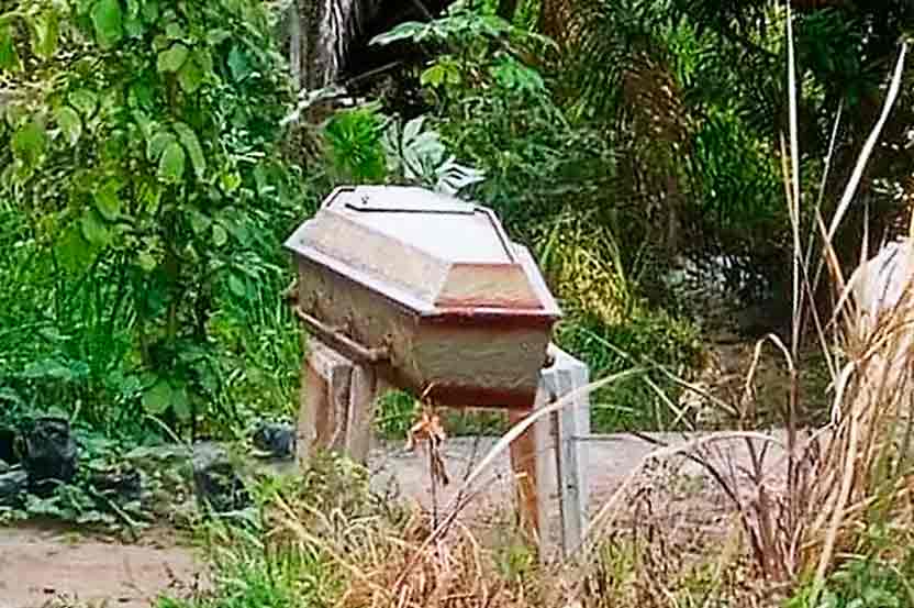 Caixão é deixado em meio à vegetação e intriga moradores no interior de Alagoas
