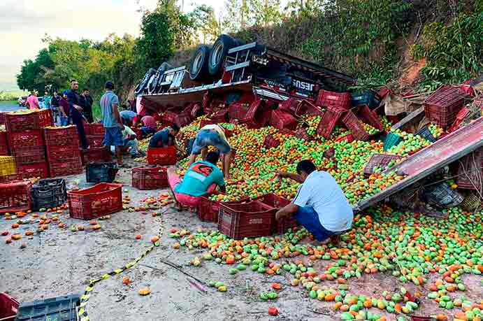 O veículo transportava 480 caixas de tomate | © Douglas Lopes