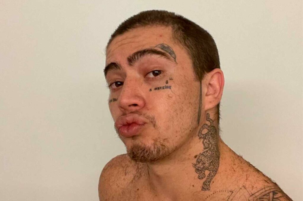 Whindersson Nunes revela novo visual na internet