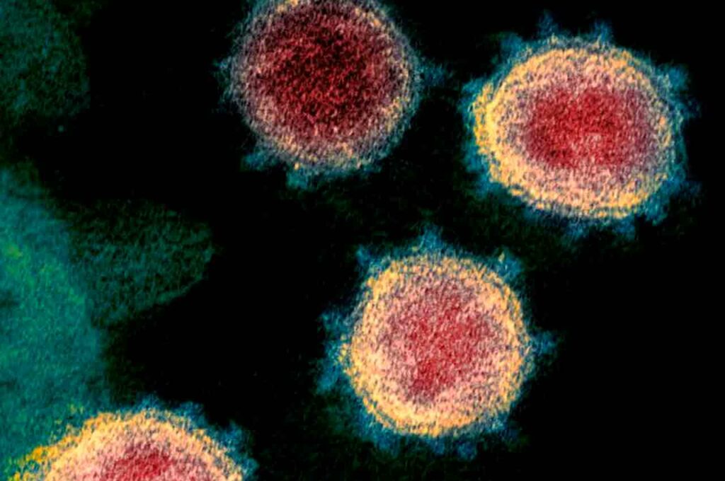 Deltacron: Entenda como surgiu a nova variante do coronavírus