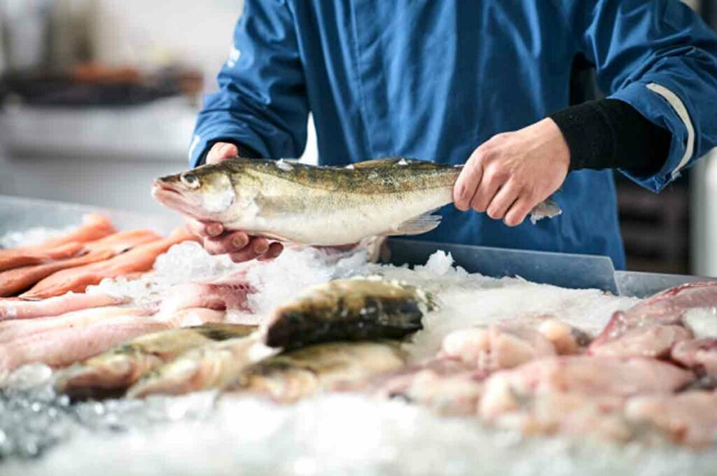 Por que comemos peixe na Semana Santa?