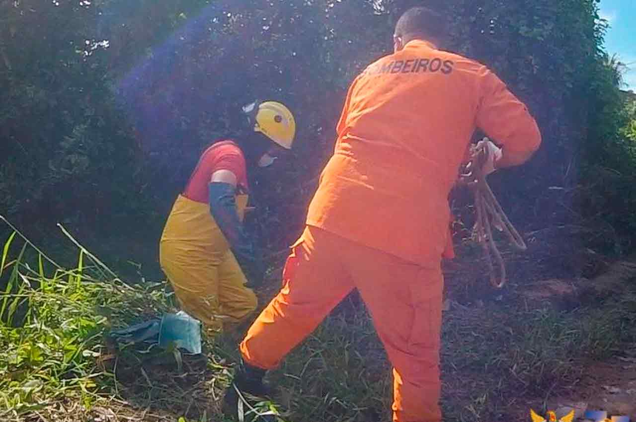 Bombeiros durante resgate de corpo em Joaquim Gomes | © CBMAL