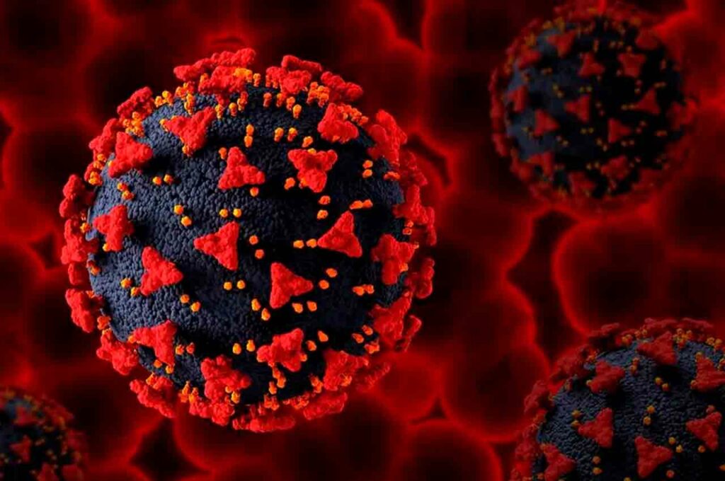 Cientistas descobrem novo vírus semelhante ao Covid-19