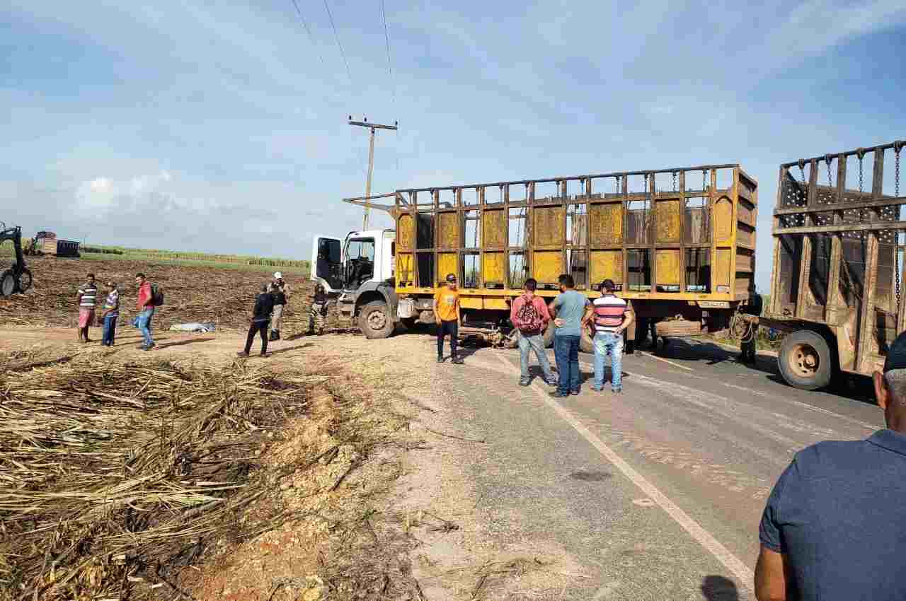 Carreta bitrem utilizada para o transporte de cana de açúcar | © Reprodução