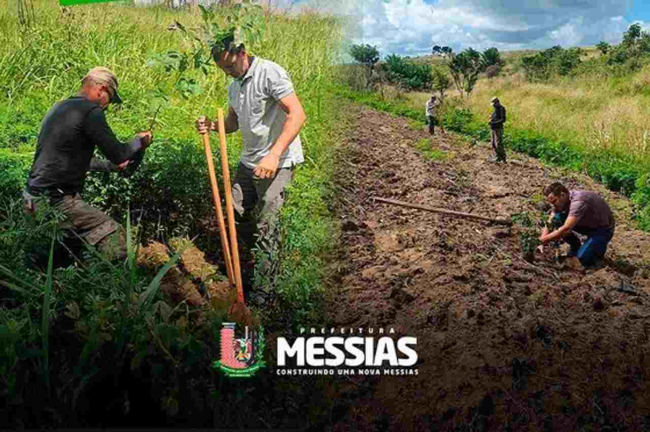 Messias celebra Semana do Meio Ambiente | Fotos: Reprodução/Instagram 