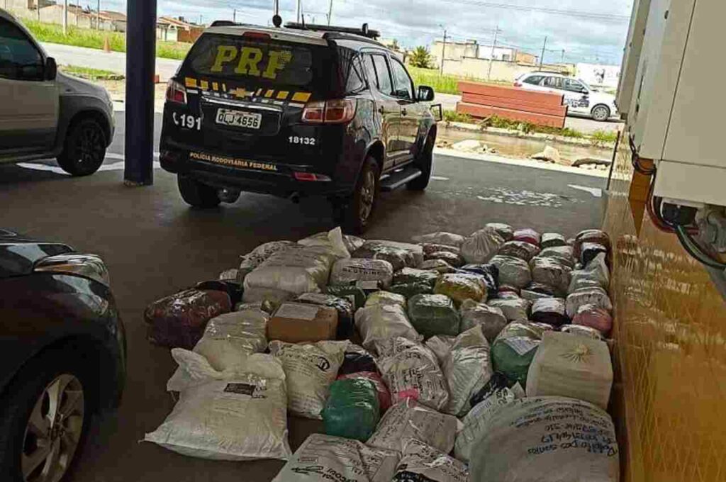 PRF apreende 2 mil unidades de roupas sem nota fiscal no interior de AL