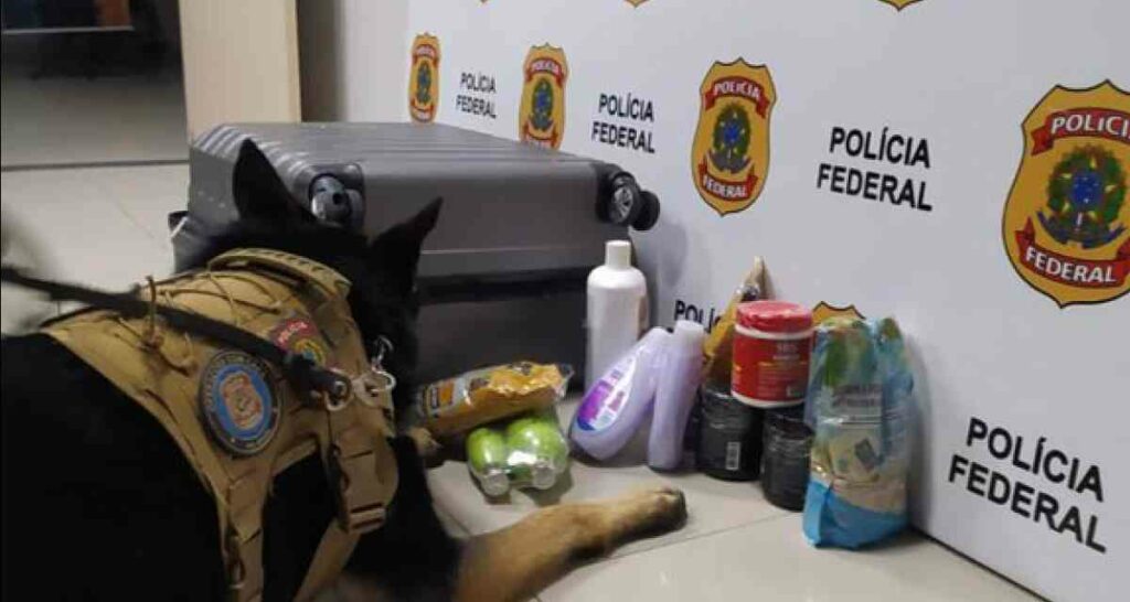 Passageira Espanhola é Presa pela Polícia Federal no Aeroporto de Fortaleza/CE