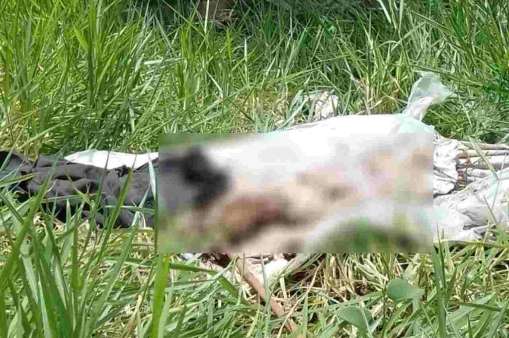 Caixão com restos mortais foi descartado de forma irregular para desocupar túmulo