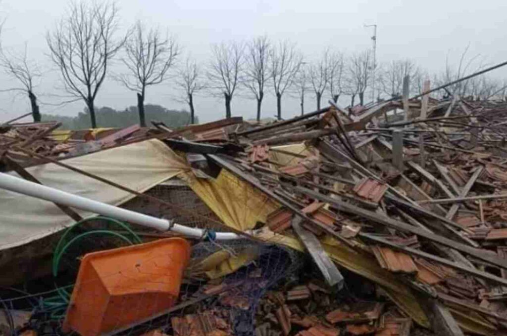 Ciclone: Após mais de 30 mortes registradas, governador do RS decreta estado de calamidade pública