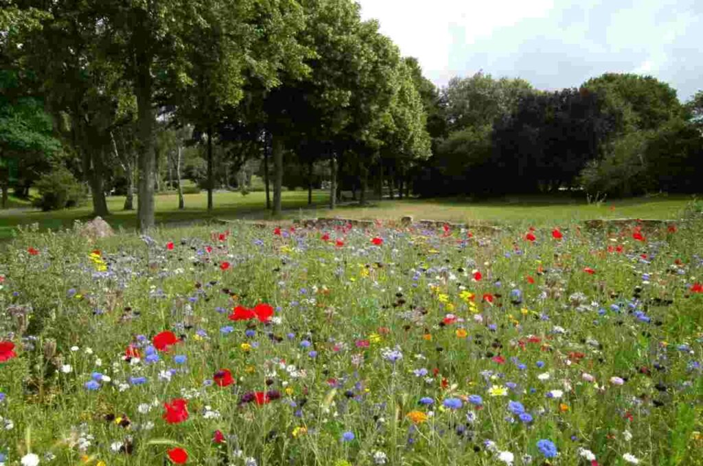 Primavera começa em Alagoas com clima estável e sinais de transição para o verão
