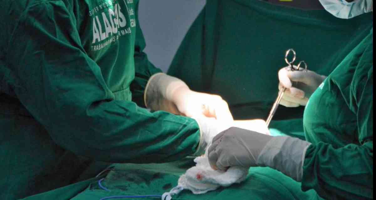 Alagoas registra aumento no número de transplantes de órgãos realizados este ano