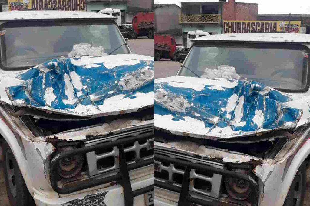 Cavalo solto na pista provoca acidente na BR-104 em Murici