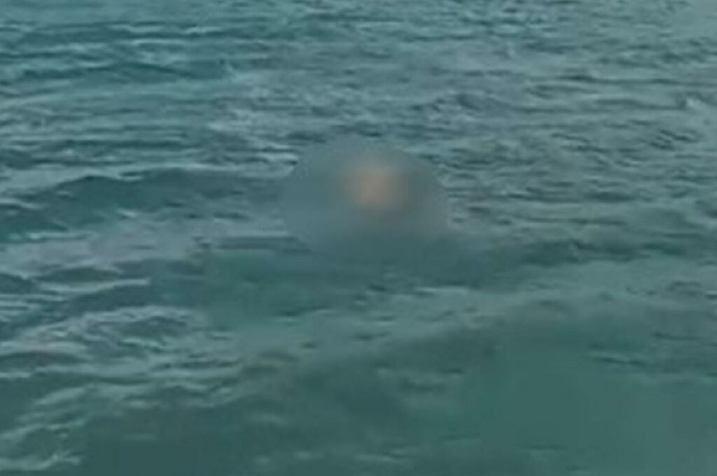 Bancário de São Paulo morre afogado em piscinas naturais de Ipioca