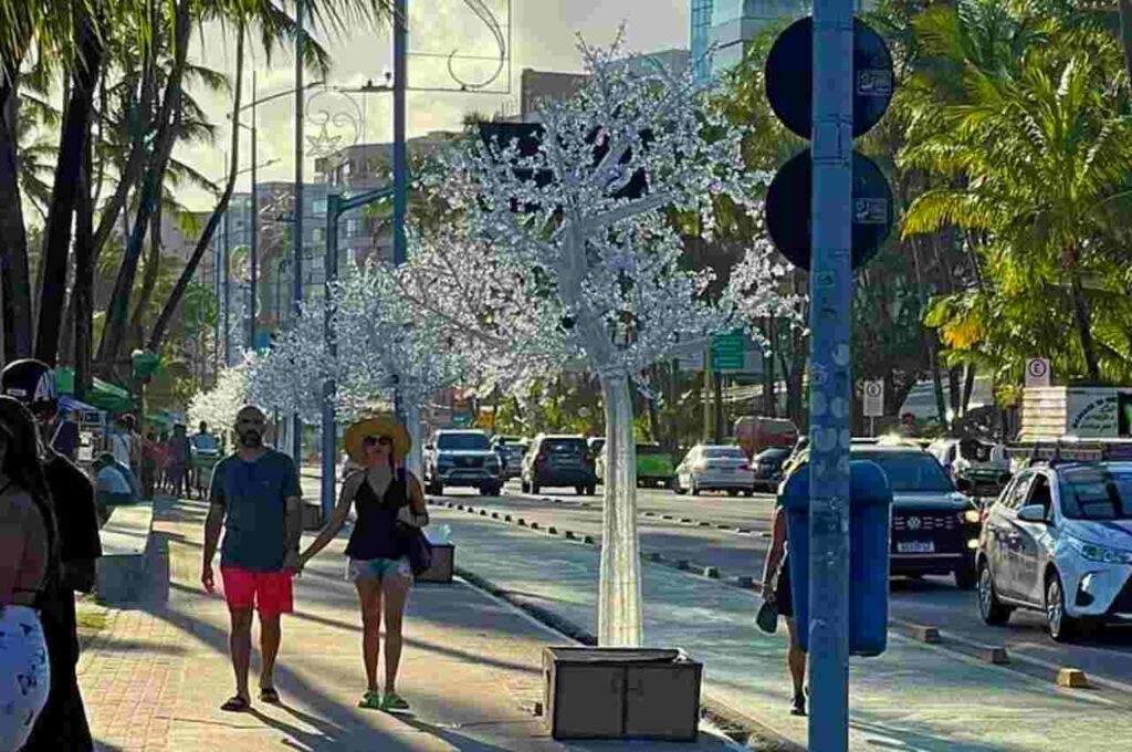 Prefeitura de Maceió inicia decoração de árvores natalinas na orla marítima