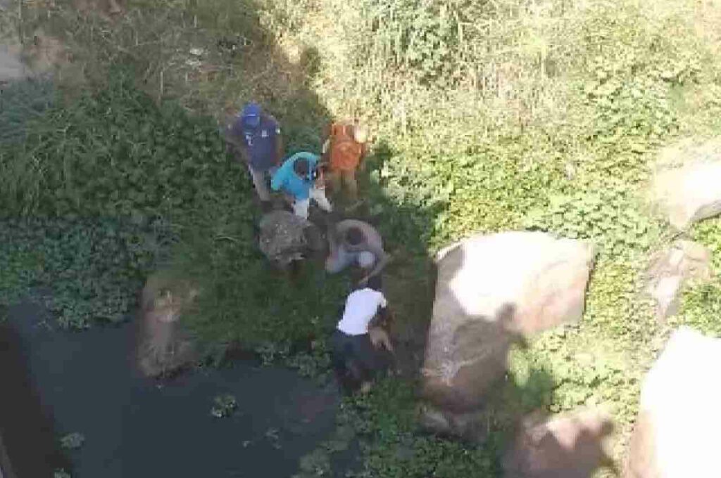 Homem é socorrido pelo CBM após cair de ponte em Santana do Ipanema
