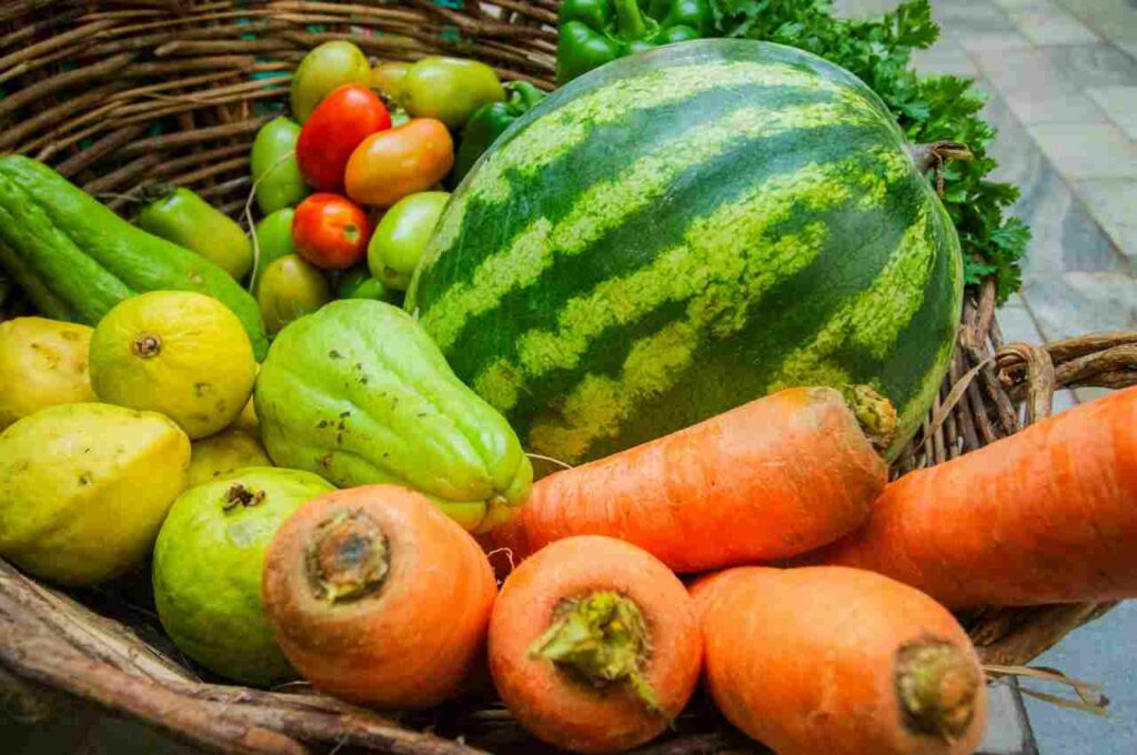 Paulo Dantas sanciona lei que institui o programa Alagoas Sem Fome