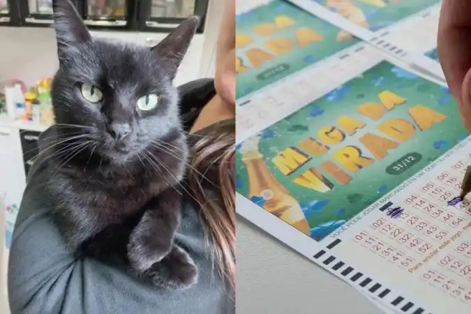 Quantos números da Mega da Virada, o gato preto “Milú” acertou?