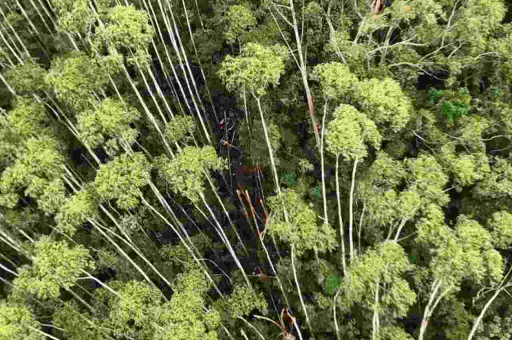 Destroços do helicóptero que sumiu com quatro pessoas em SP são encontrados