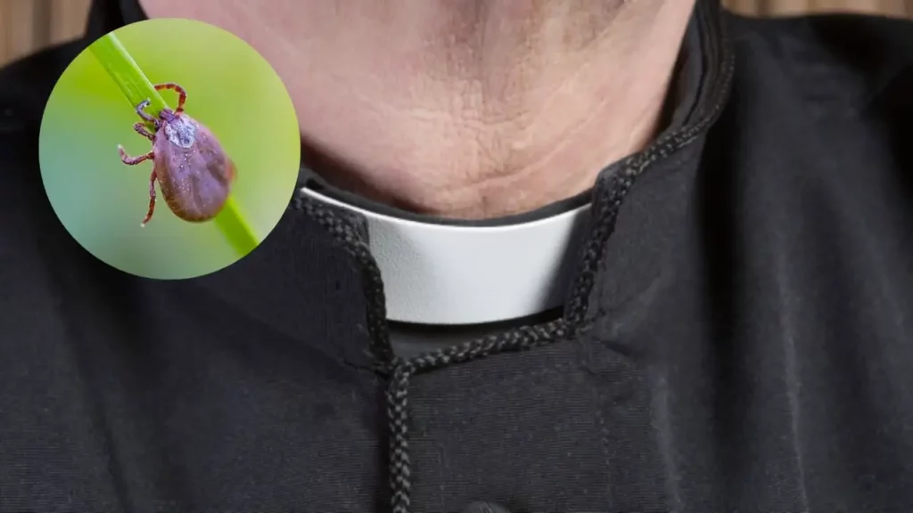 Padre é socorrido após cortar o próprio pênis ao ver carrapato