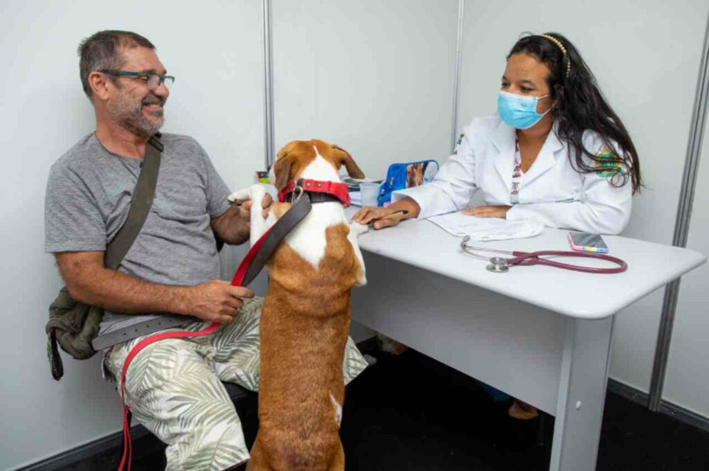 Maceió encerra campanha de vacinação antirrábica com 75 mil animais imunizados