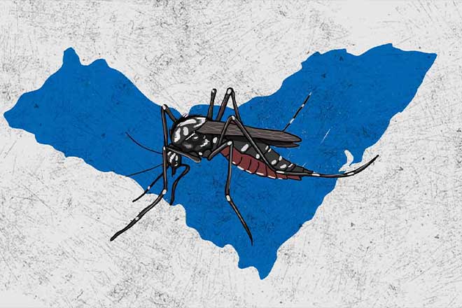Mosquito da dengue sobre o mapa de Alagoas - @BR104