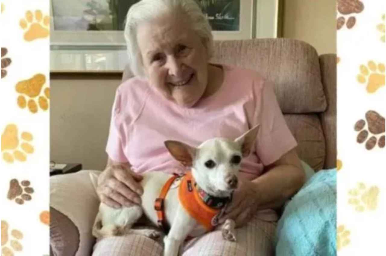 Mulher centenária e seu cão de estimação | @ Cães Online/ Reprodução
