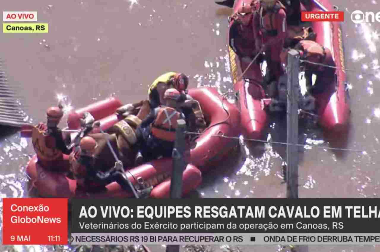 Cavalo é resgatado por equipe do Exército | @ Globo News
