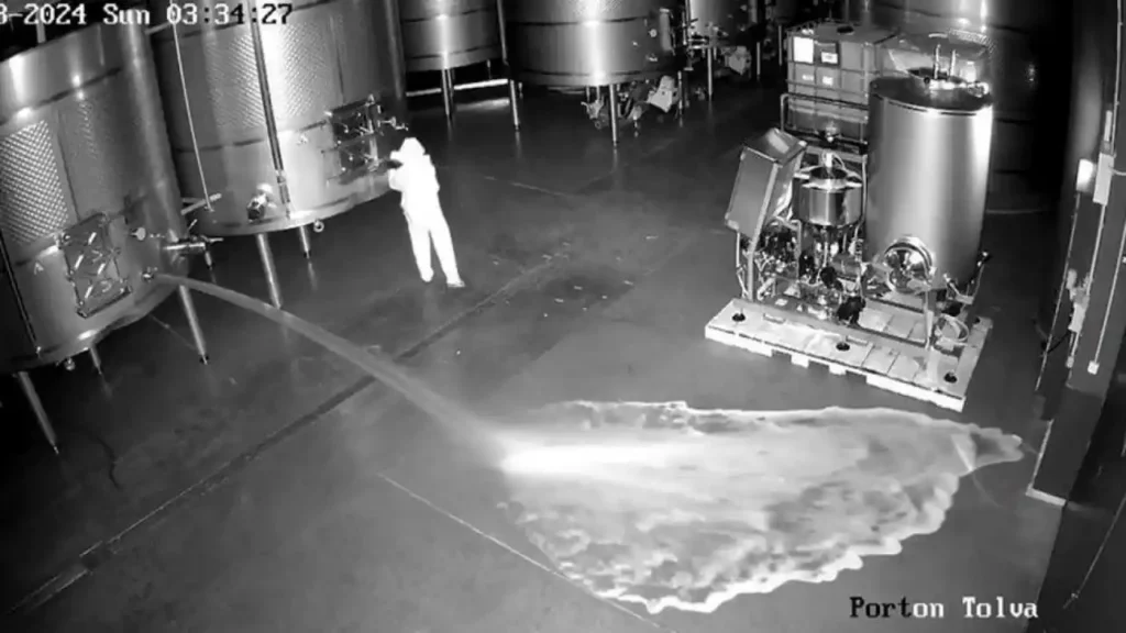 Por vingança, ex-funcionária derrama 60 mil litros de vinho e causa prejuízo milionário