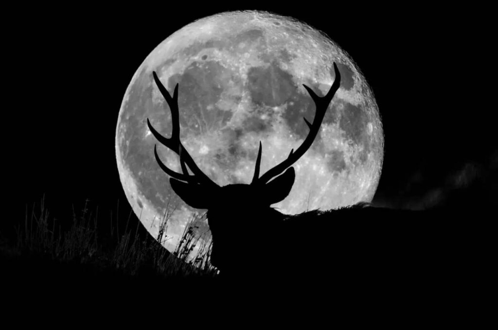 Mês de julho terá chuva de meteoros e ‘Lua dos Cervos’