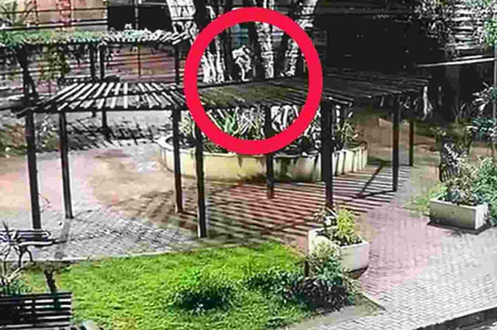 Homem que matou namorado em praça no interior de AL tem prisão preventiva decretada