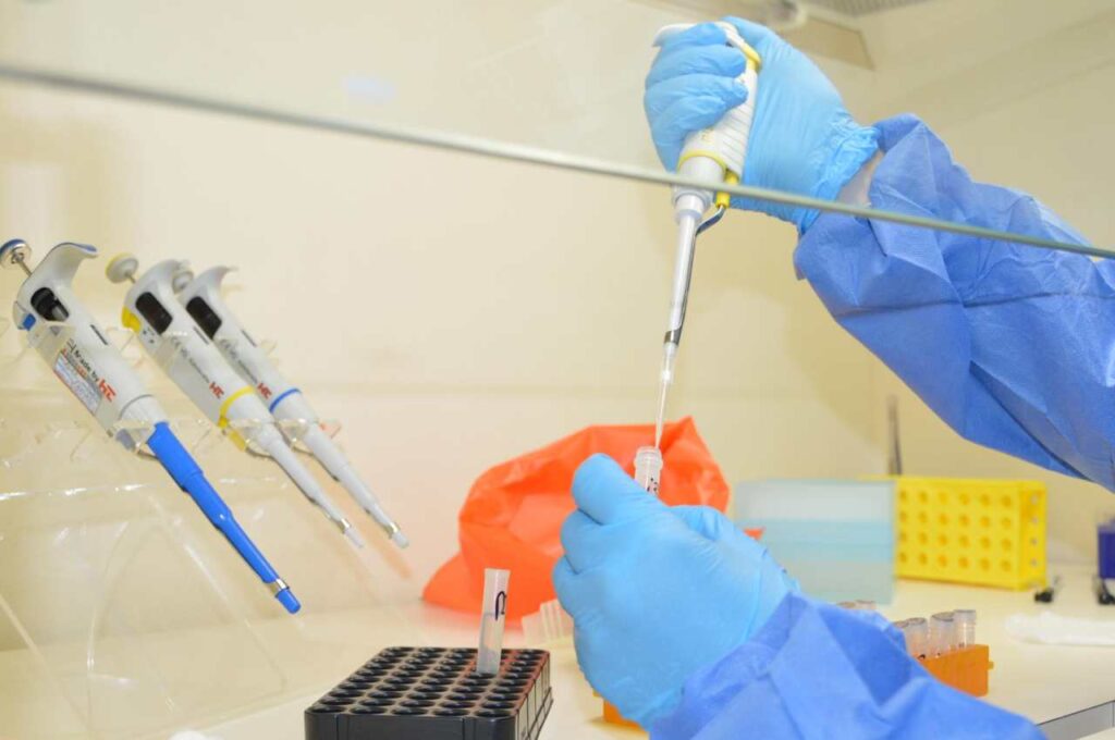 Sesau volta a alertar sobre os cuidados para evitar a Febre do Oropouche