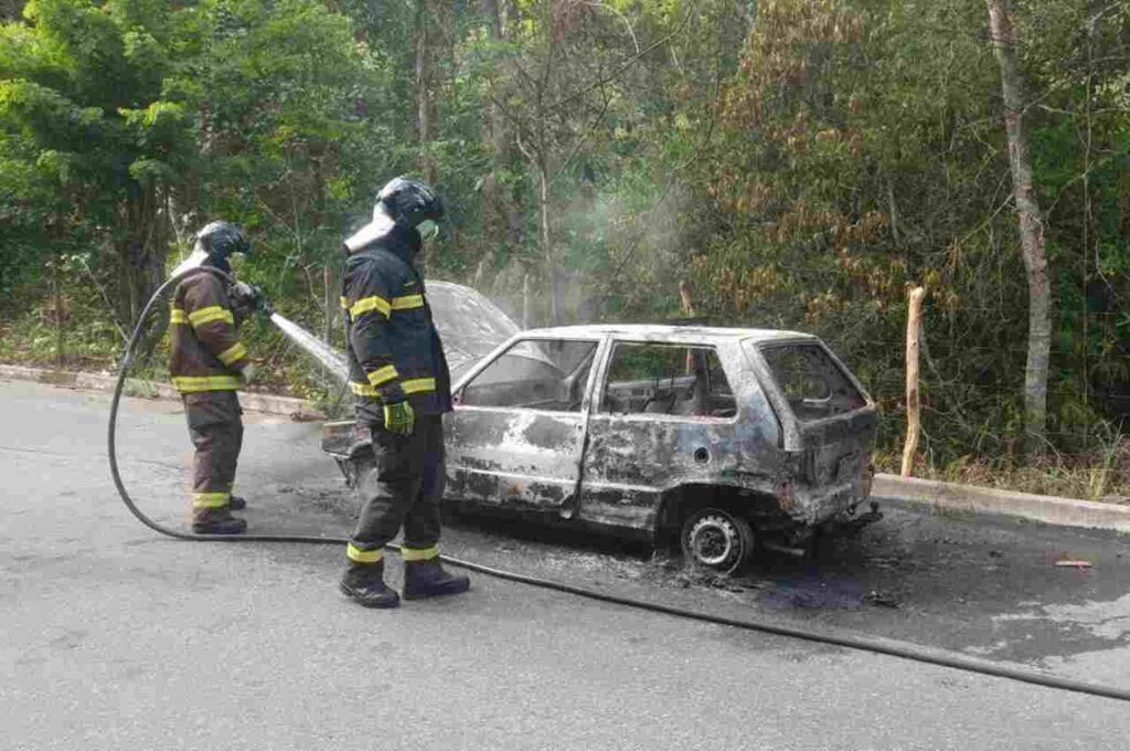 Carro pega fogo e fica destruído na BR-104 em Messias; ninguém ficou ferido