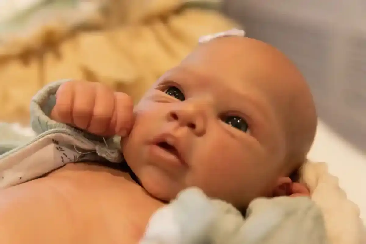 Bebê reborn - @Reprodução