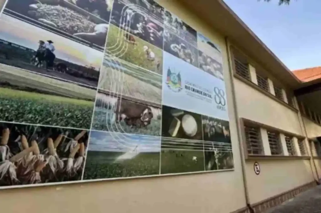 Brasil confirma primeiro caso de gripe aviária em granja comercial