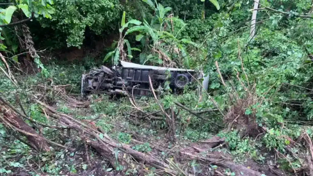 Motorista evita colisão com carro de passeio e cai em ribanceira na BR-104