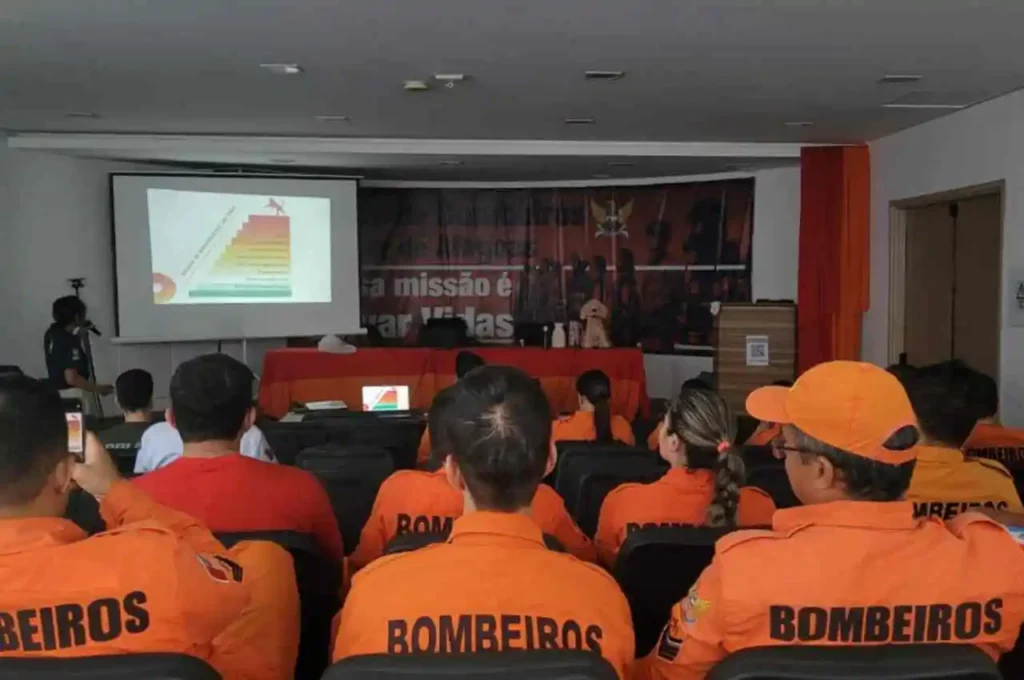 CBMAL e Ufal promovem curso inédito de primeiros socorros para cães e gatos em Maceió