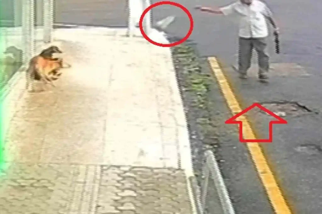 Idoso é preso suspeito de envenenar cães e tentar subornar policiais no Agreste de Alagoas