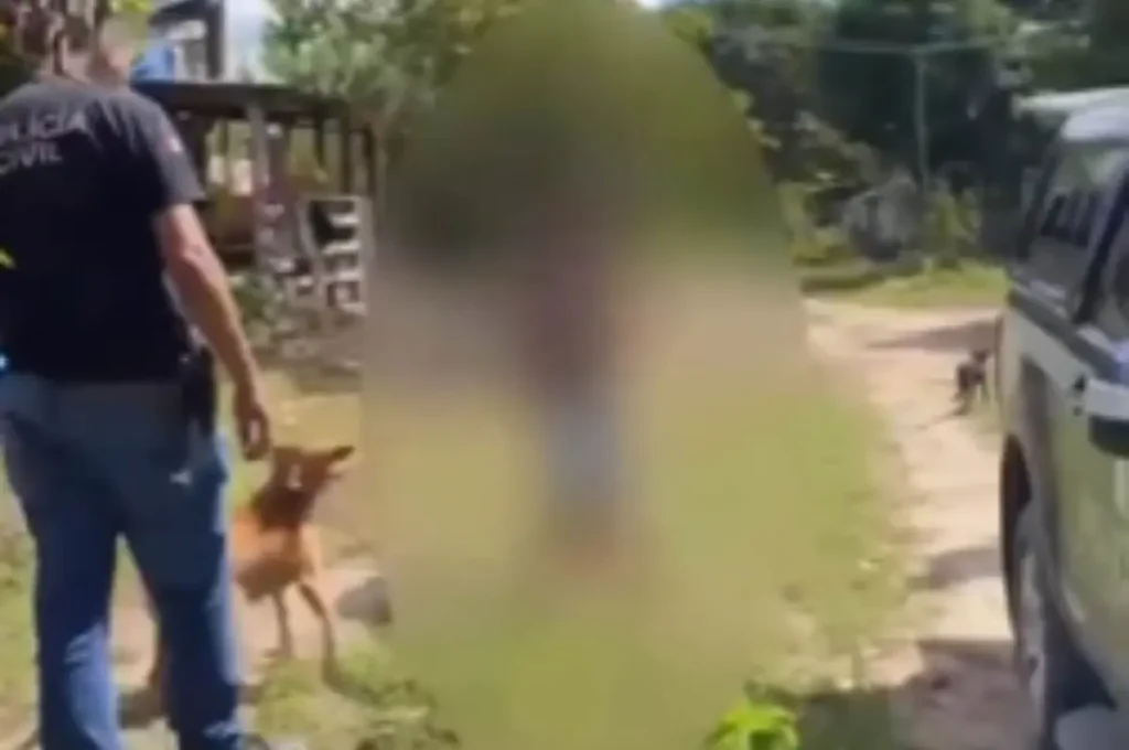 Homem é preso em Murici por maus-tratos e zoofilia contra duas cadelas