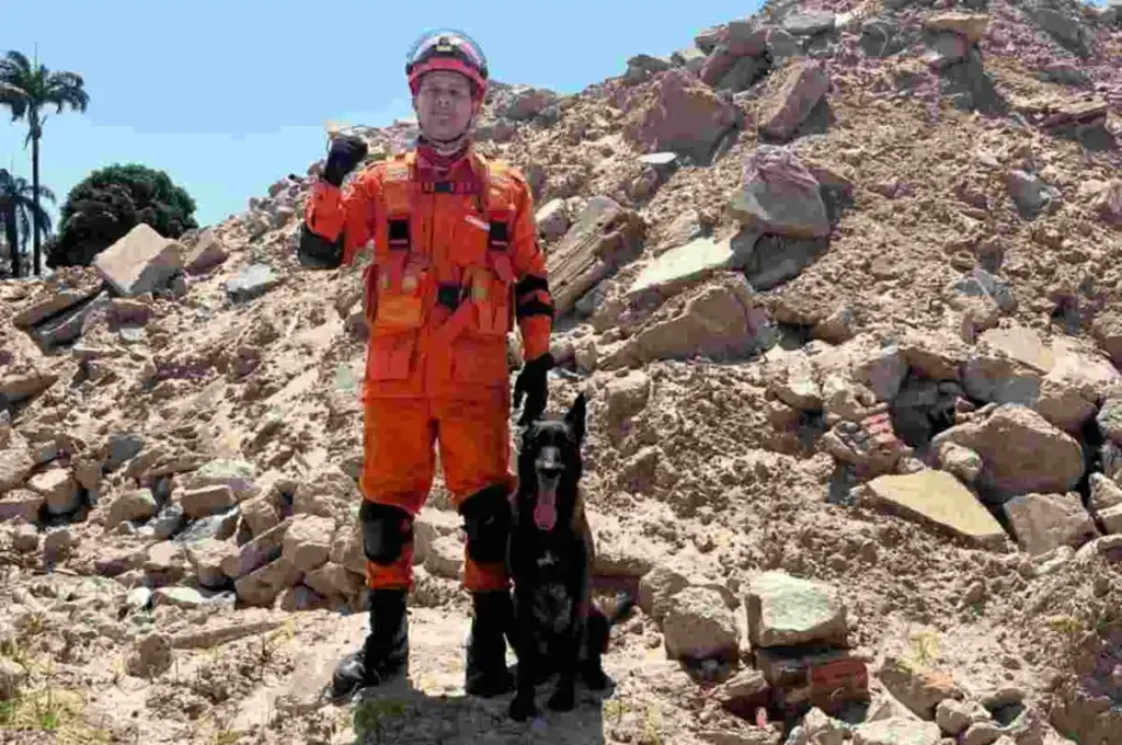 Cadela do Corpo de Bombeiros de Alagoas conquista duas certificações nacionais em busca e resgate