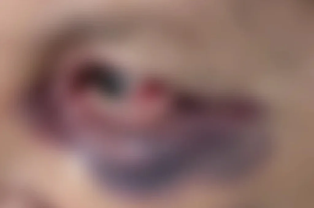 Filho é preso após agredir violentamente mãe idosa no interior de Alagoas