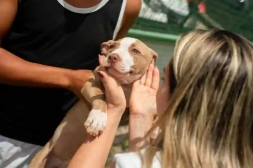 União dos Palmares vacina 5 mil pets em ação contra a raiva