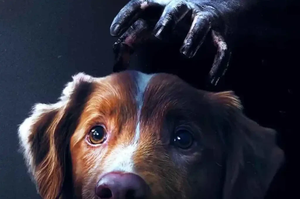 Filme de terror mostra ataque sobrenatural sob a perspectiva de um cachorro