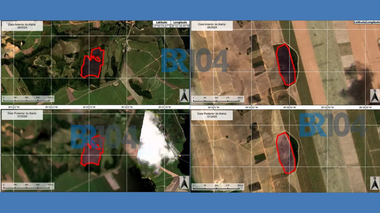 Comparativo de imagens de satélite antes e depois de desmatamento em área rural da Fazenda Pindoba, Penedo, com polígonos vermelhos demarcando a supressão de vegetação da Mata Atlântica.