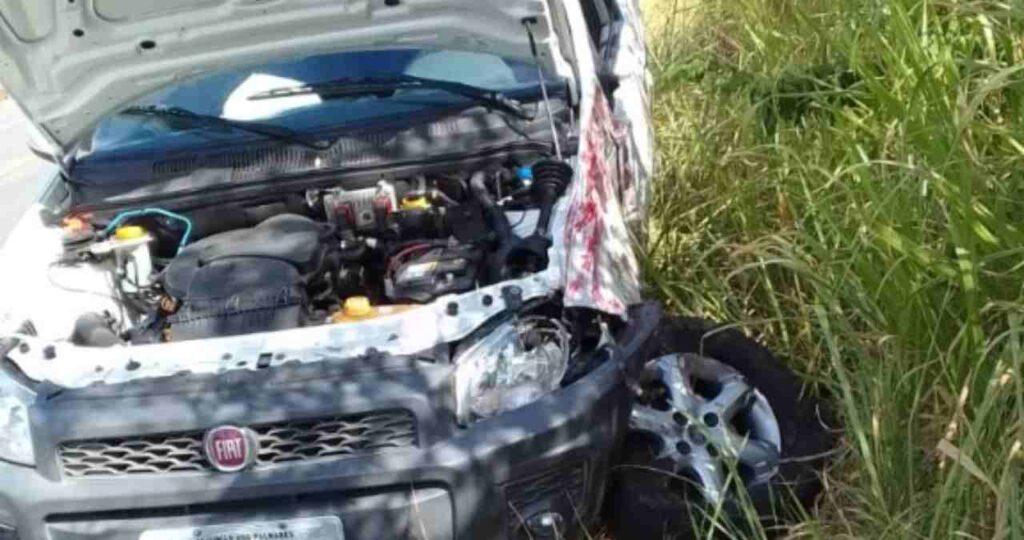 Motorista cochila ao volante e colide com ônibus na BR-104, em União dos Palmares