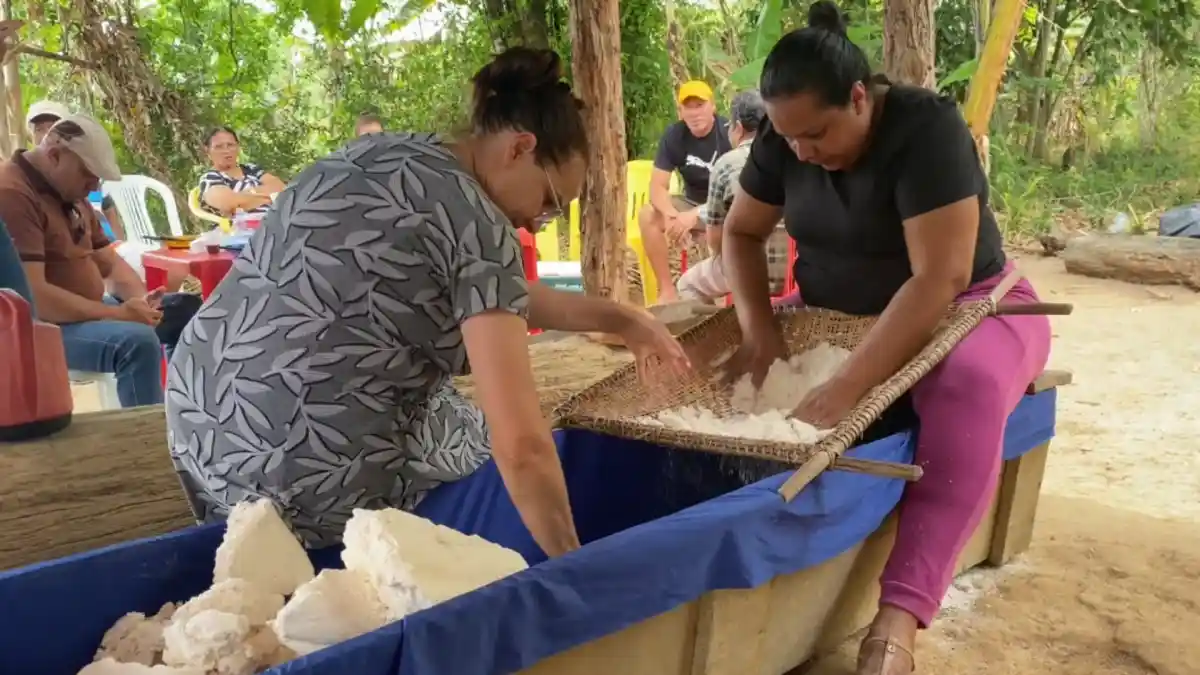 Mulheres peneirando massa de mandioca em casa de farinha no interior de Alagoas