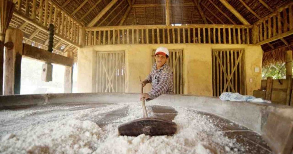 Casas de Farinha são declaradas Patrimônio Cultural de Alagoas após sanção de nova lei
