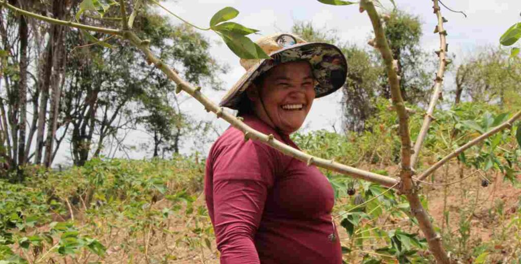 São José da Laje, Murici, Branquinha e Santana do Mundaú lideram índices do PIB em Alagoas