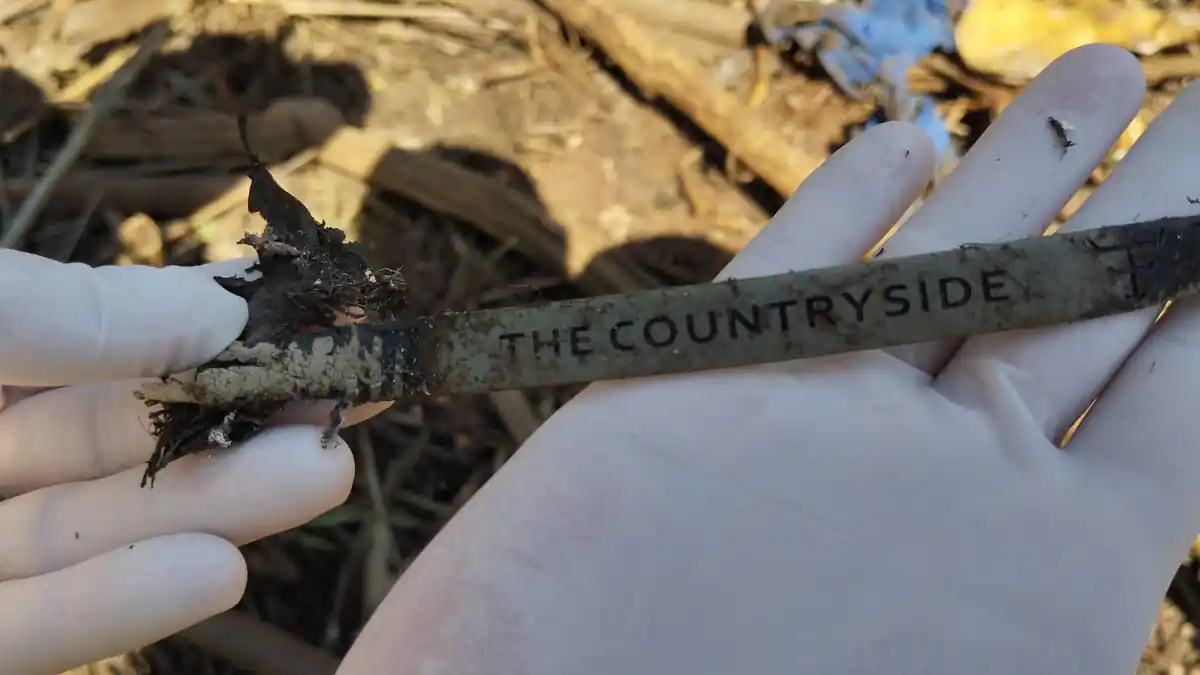 Pulseira encontrada no local onde a ossada foi localizada, em área próxima a uma represa no município de Rio Verde, em Goiás.Crédito: Divulgação PCGO