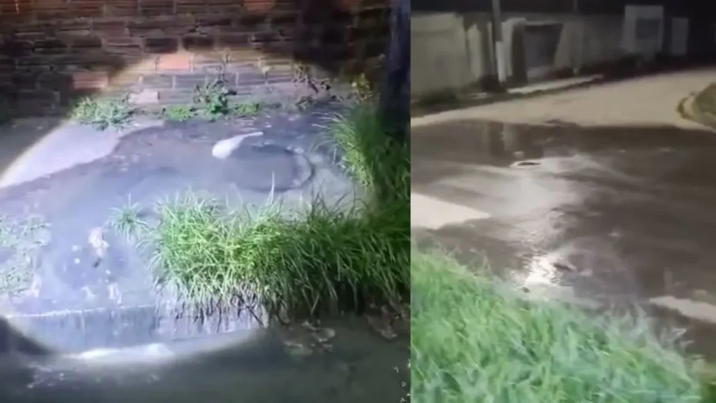 Moradores convivem com esgoto estourado há dois anos em conjunto habitacional de Rio Largo